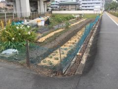 現況：田